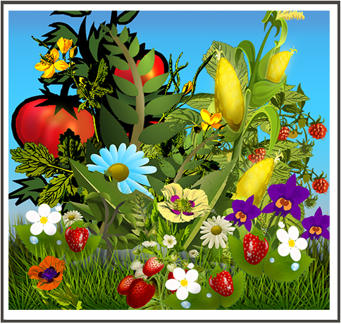 slideshow